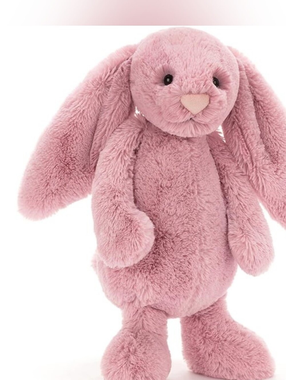 JELLYCAT bashful tulip pink bunny 12 inches Toy Stuffed Animal Plush - Picture 9 of 9
